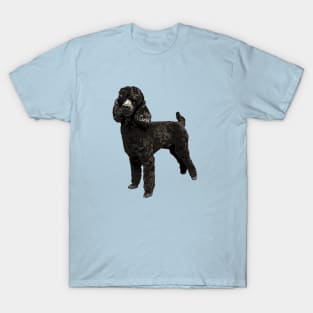 Poodle Black Mini Toy Cutie T-Shirt